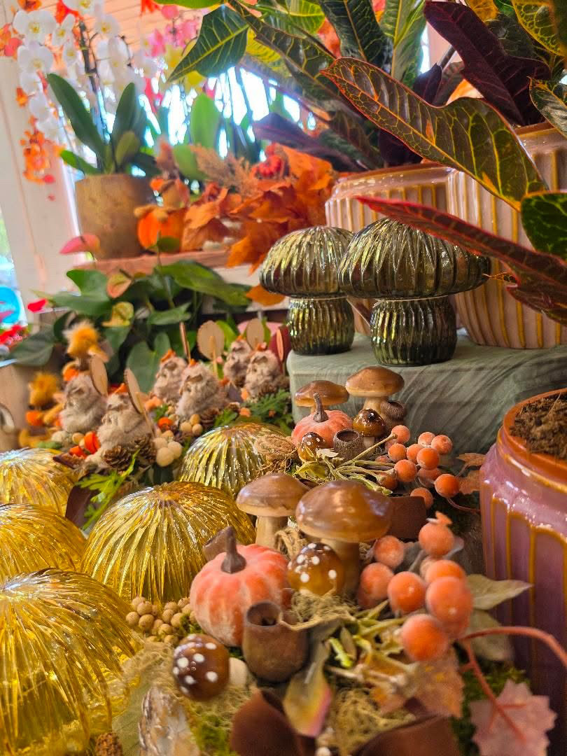 Üveggombák, dísztökök és őszi termések közelről